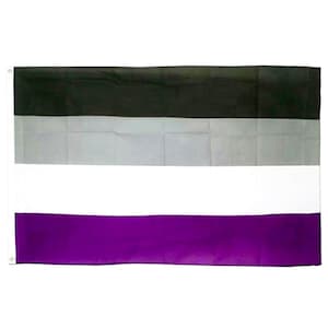 Asexual / Ace Premium Flag / 5ft x 3ft / With Sewn Hems & Grommets