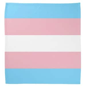 Transgender / Trans Pride Flag Bandana (With Sewn Hems)