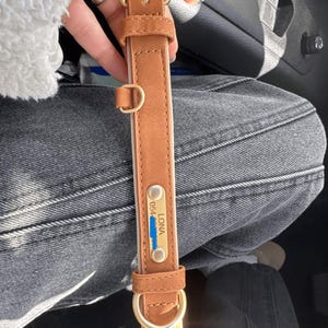 Peut inclure: Un collier de chien en cuir marron avec une boucle dorée et une plaque de nom dorée qui indique "LONA 054".