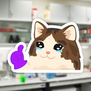 Thumbs up crying lab cat sticker | Sad cat meme, Grad school sticker, PhD student gift, Science sticker, Laboratory sticker, Chemistry gift