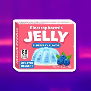 Jelly electrophoresis sticker | Science sticker, Biology sticker, Biology teacher gift, Microbiology gift, Molecular biology, Biochemistry
