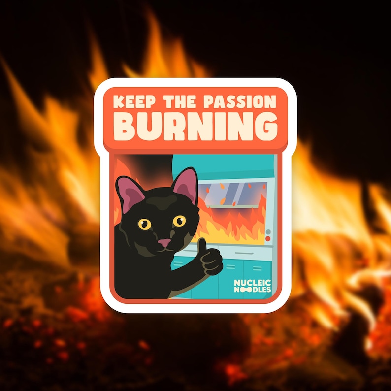 May include: A black cat with a thumbs up in front of a burning oven. The text "KEEP THE PASSION BURNING" is above the cat and the text "NUCLEIC NOODLES" is below the cat.