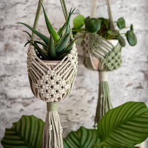 Könnte beinhalten: Zwei Makramee-Pflanzenaufhänger in Grün- und Beigetönen, die jeweils eine Topfpflanze halten. Der linke Aufhänger enthält eine Aloe-Pflanze, während der rechte eine Pflanze mit runden Blättern enthält. Die Aufhänger hängen vor einer strukturierten, hellgrauen Backsteinmauer.