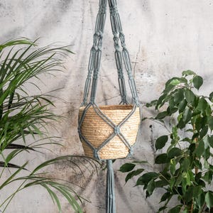 Könnte beinhalten: Ein gewebter Pflanzenhalter mit hellblauem Makramee-Design. Der Halter ist an einem Holzring aufgehängt und hat einen gewebten Korb. Grüne Pflanzen umrahmen den Halter vor einer strukturierten Wand.