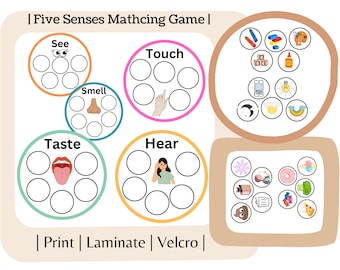 Juego de combinación de los cinco sentidos
