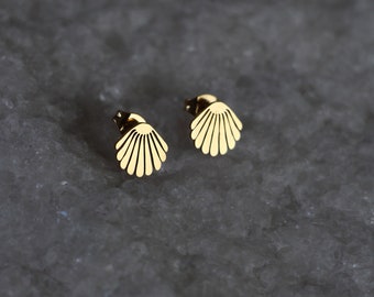 Shell earrings made of stainless steel