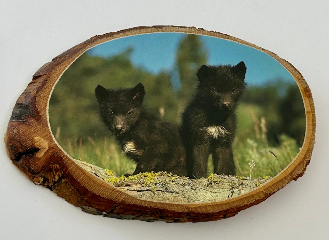 Vintage Decoupage Black Wolf Cubs Rustic Wall Decor 7 X 4 Etsy