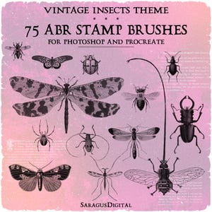 Photoshop & Procreate Stamps Brushes: 75 Vintage Insect ABR Brushes, Old Science Images