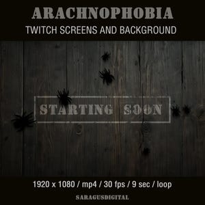 Spiders Stream Overlay: Animated Twitch Screens, Horror Gothic Halloween Scene