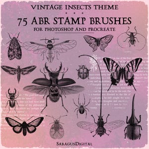 Tampons insectes vintage, 75 pinceaux ABR pour Photoshop et procréer, scarabées, insectes, papillons, mites, libellules, mouches, images scientifiques anciennes