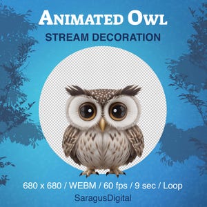 Owl Stream Pet, Animated Twitch Overlay, Witch, Wizard, Dark Academia Streamers or Vtubers Asset