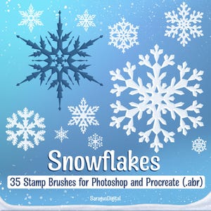 Snowflake Stamp Brushes for Photoshop and Procreate, 35 ABR Brushes, Digital Winter Christmas Snow Brushes, Personal and Commercial Use