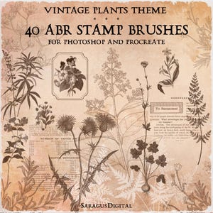 Pinceles botánicos vintage para Photoshop y Procreate, 40 sellos ABR, plantas, hierbas, flores, helechos, ilustraciones y textos científicos retro