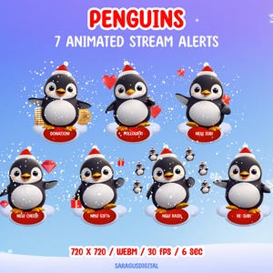 This pack includes 7 animated stream alerts with penguins. Created for stream events such as followers, subscribers, raids, cheers, and more, these alerts add a friendly accent to streams for streamers and VTubers, without distracting from gameplay or chat