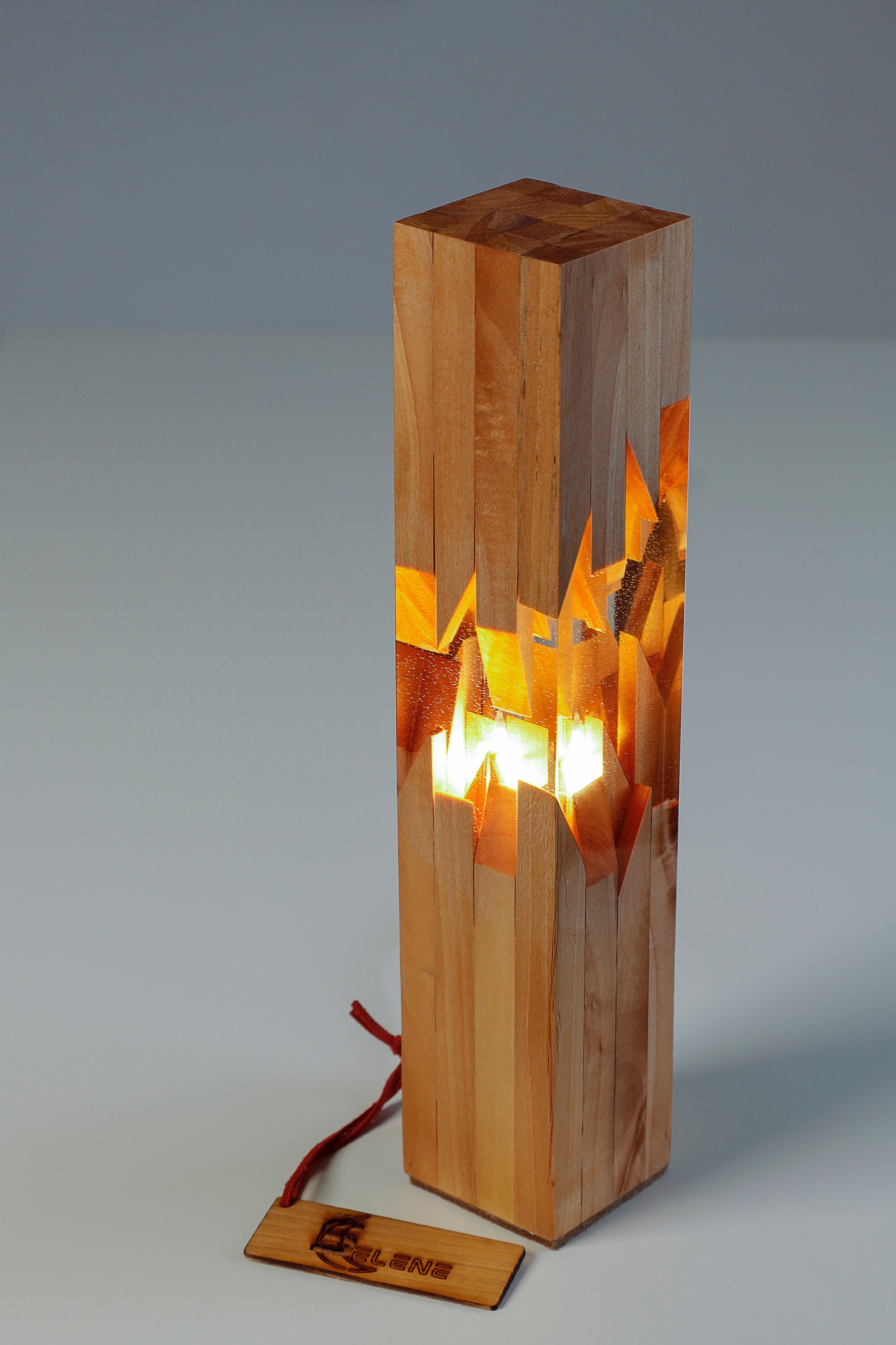 Jungle Epoxy Resin Lamp, 16 Colours Changing Resin Wood Lamp, Decorative  Lamp, Resin Art, Resin Lamp, Table Lamp, Resin Light, Night Light 