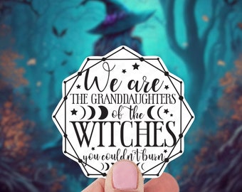 Wir sind die Enkelinnen der Hexen, die Sie nicht verbrennen konnten Aufkleber, Wicca Geschenke, Pagan Stationary, feministischer Aufkleber, weibliche Wut