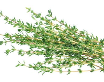 Thyme
