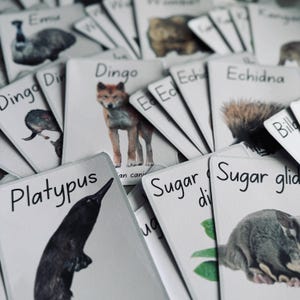 Pacote de recursos sobre animais australianos