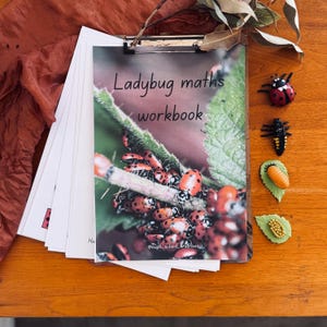 May include: A stack of white papers with the title "Ladybug maths workbook" printed on the top page. The cover features a close-up image of a green leaf with many red ladybugs on it. The image is surrounded by small ladybug figurines and other insect-themed decorations.