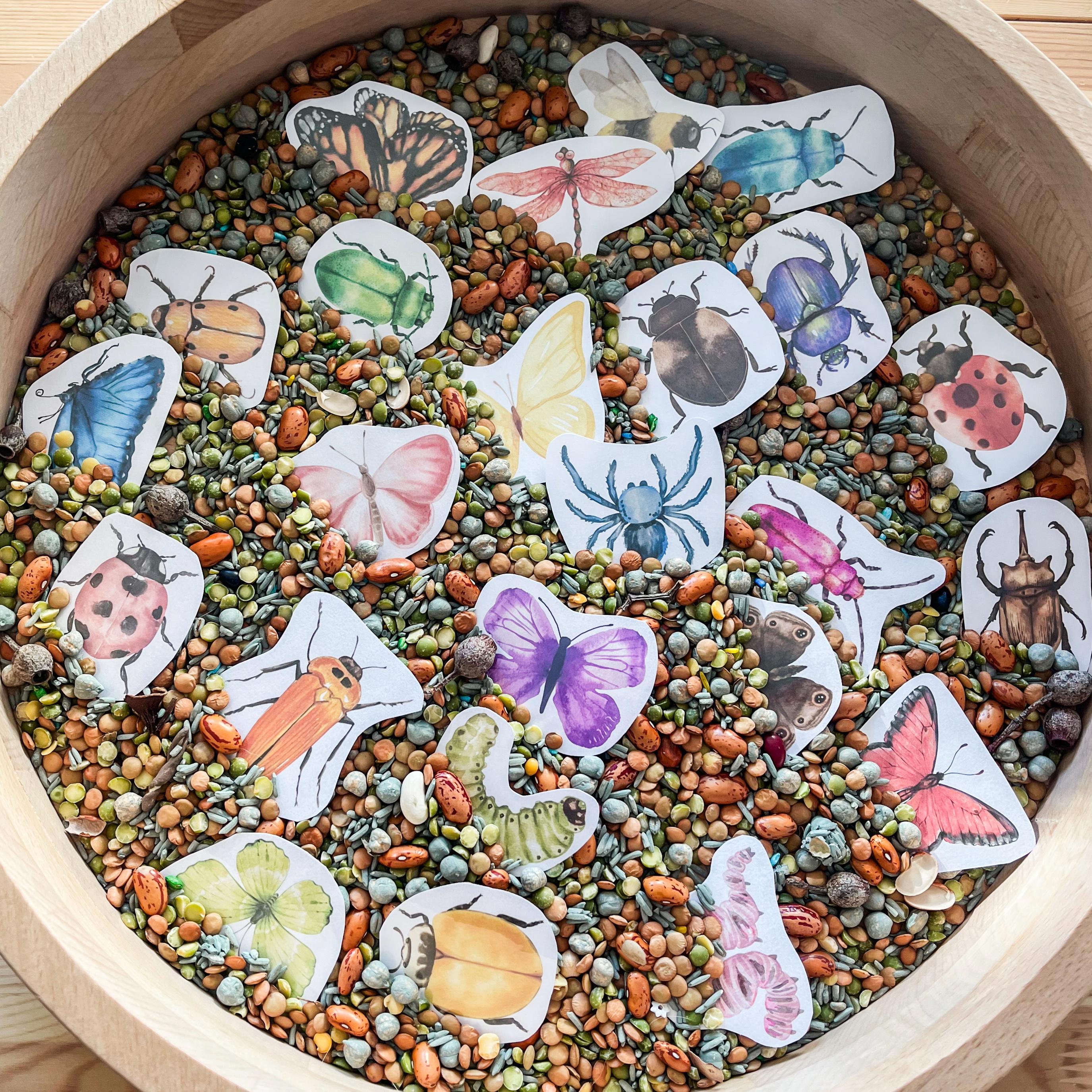 Insect Colour Sorting: Colour Recognition a Activity for the Early ...