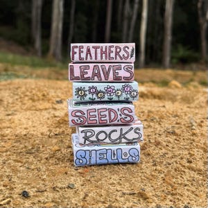 May include: A stack of six rectangular boxes with hand-drawn labels. The boxes are labeled FEATHERS, LEAVES, flowers, SEEDS, ROCKS, and SHELLS. Each box features unique illustrations and lettering in various colors including pink, blue, and black ink.