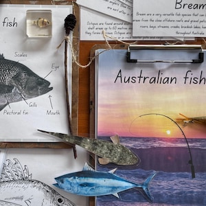Australian fishing resource bundle