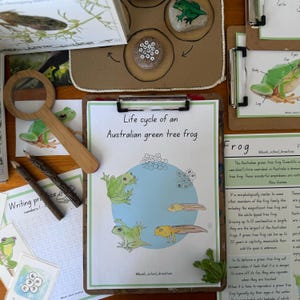 Kit d'apprentissage grenouille