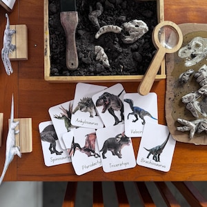 Dinosaurie-paket för tidiga år