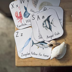 Cartes flash alphabet océan