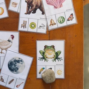 May include: A selection of educational flashcards with watercolour illustrations of objects and animals. Cards include a frog, moon, bear, and a bell. The cards are arranged on a wooden surface.