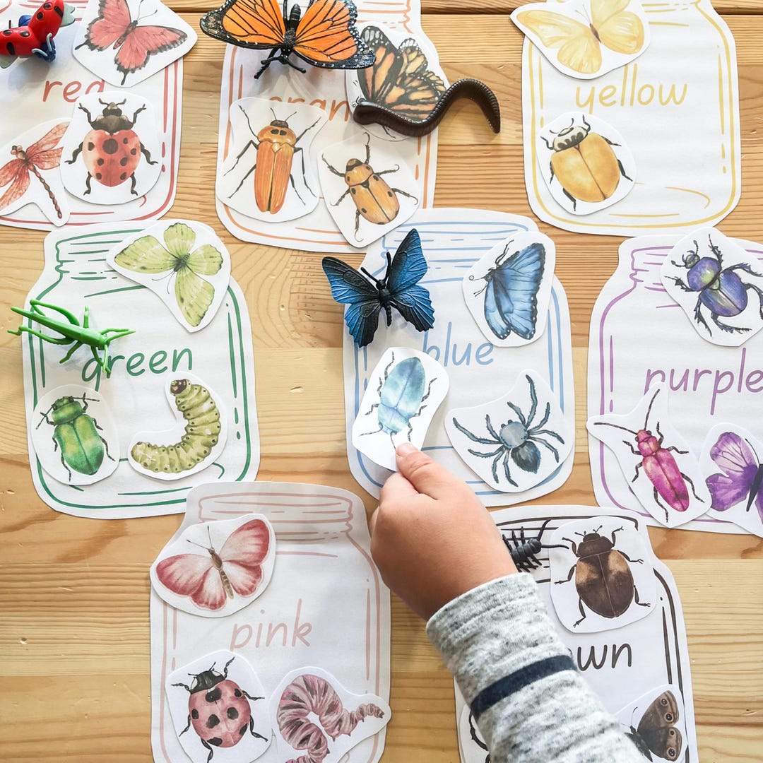 Insect Colour Sorting: Colour Recognition a Activity for the Early ...