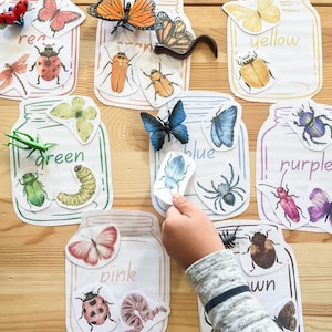 May include: Educational game featuring colorful insect and butterfly cutouts and plastic models. The cutouts are arranged around jars labeled with colors: red, orange, yellow, green, blue, purple, pink, and brown. A child's hand is visible, interacting with the game.