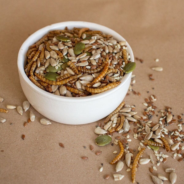 Protein Power - Natural Supplement Seed & Mealworm Mix for Hamsters, Rats, Mice. Small Pet Gift