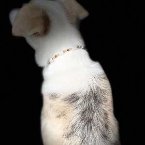 EM Dog Collar Jewellery Beige