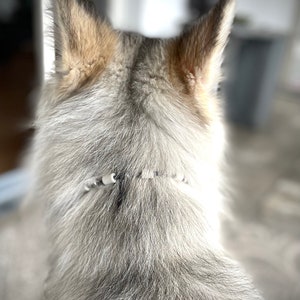 EM Dog Collar Jewellery Grau