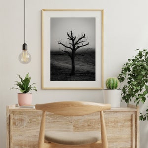 Crows in the tree at the bottom of Pen y Fan  - Photograph - Art Print / Poster - South Wales Pen y Fan Brecon Beacons Landscape Photography