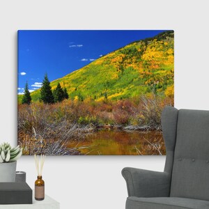 Aspen Fall Canvas Print – Colorado Autumn Photography, Aspen Tree Wall Art, Nature Decor, Fall Colors, Rustic Home Decor, Colorado Landscape