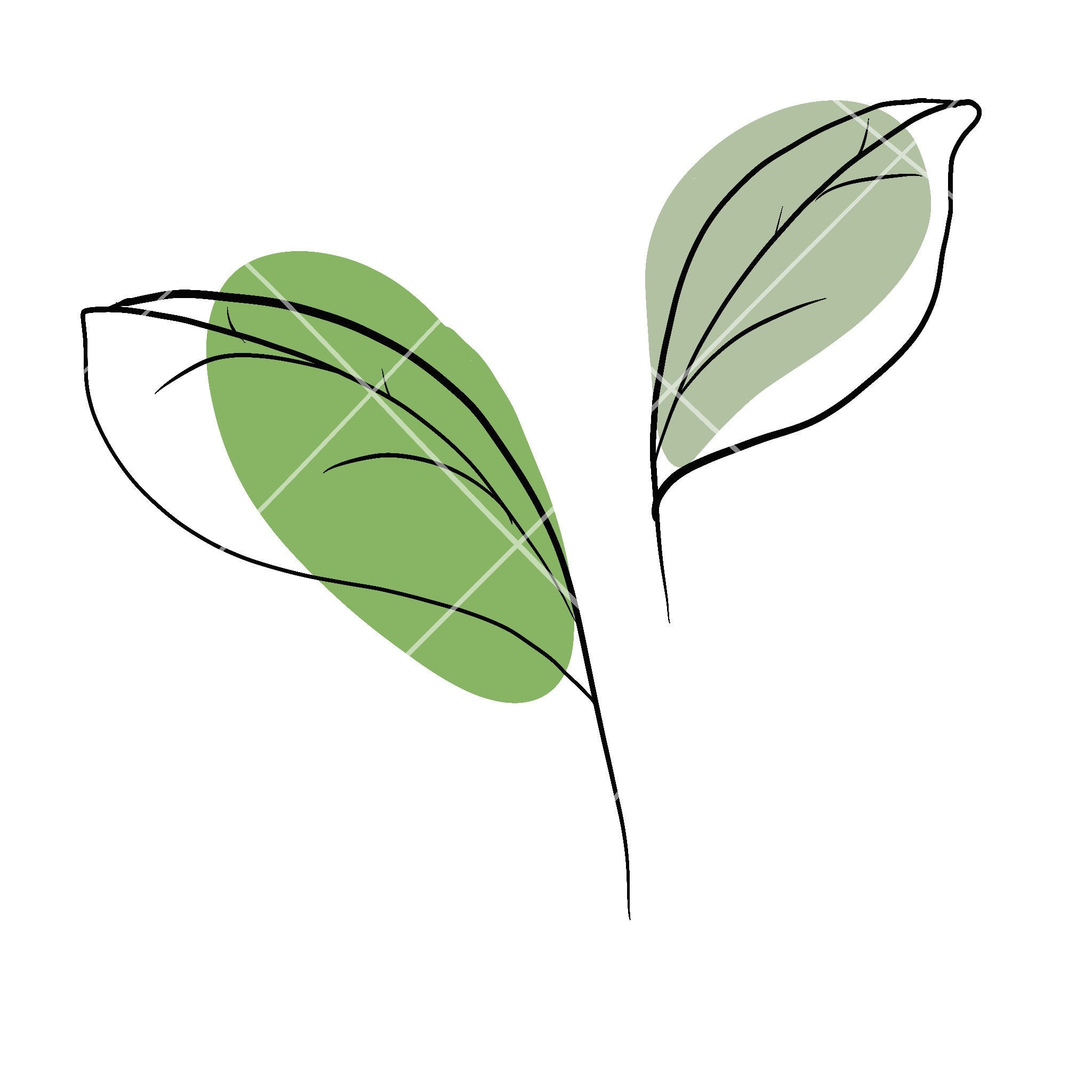 Two Green Leaves Line Art, Pastel Green Leaves, Simple Line Art - Etsy