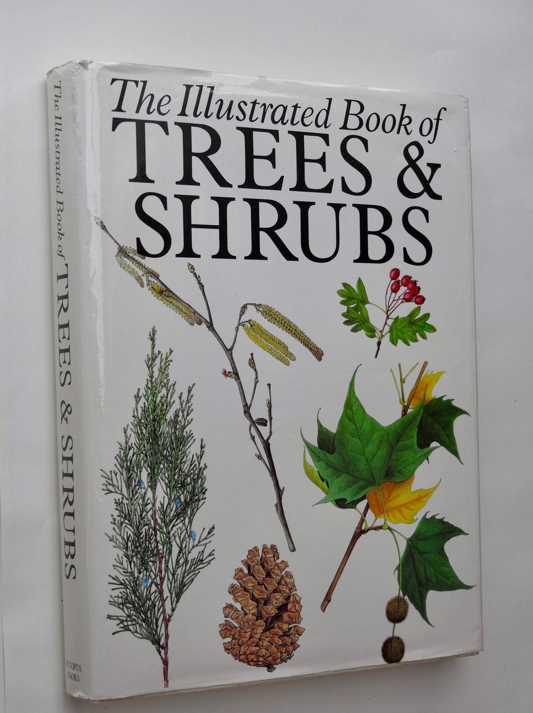 The Illustrated Book of Trees and Shrubs Edited by Eleanor Etsy
