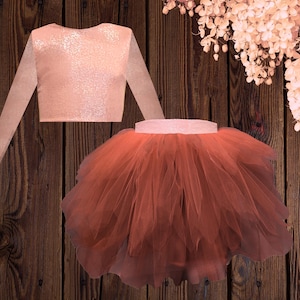 Shiny Pink Crop Top and Terracotta Tulle Skirt Set for Girls | Elegant Birthday Outfit | Special Occasion Dress for Kids (1-10 Years)