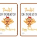 fourth of july dinner menus