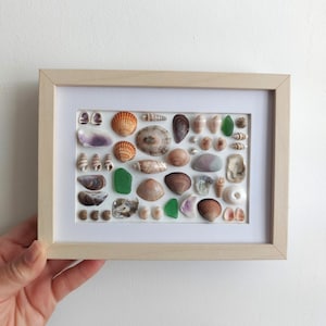 Seashell Mosaic Wall Art: Handmade Shadow Box Decor (7x5 inches)