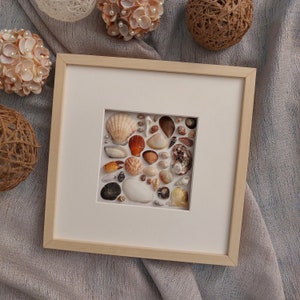 Muschel Mosaik Wandbild: Gerahmte Mediterrane Muscheln, Marine Dekor 23 x 23 cm