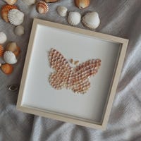 Seashell Butterfly, Seashell Collage Art, Seashell Shadowbox, Seashell ...