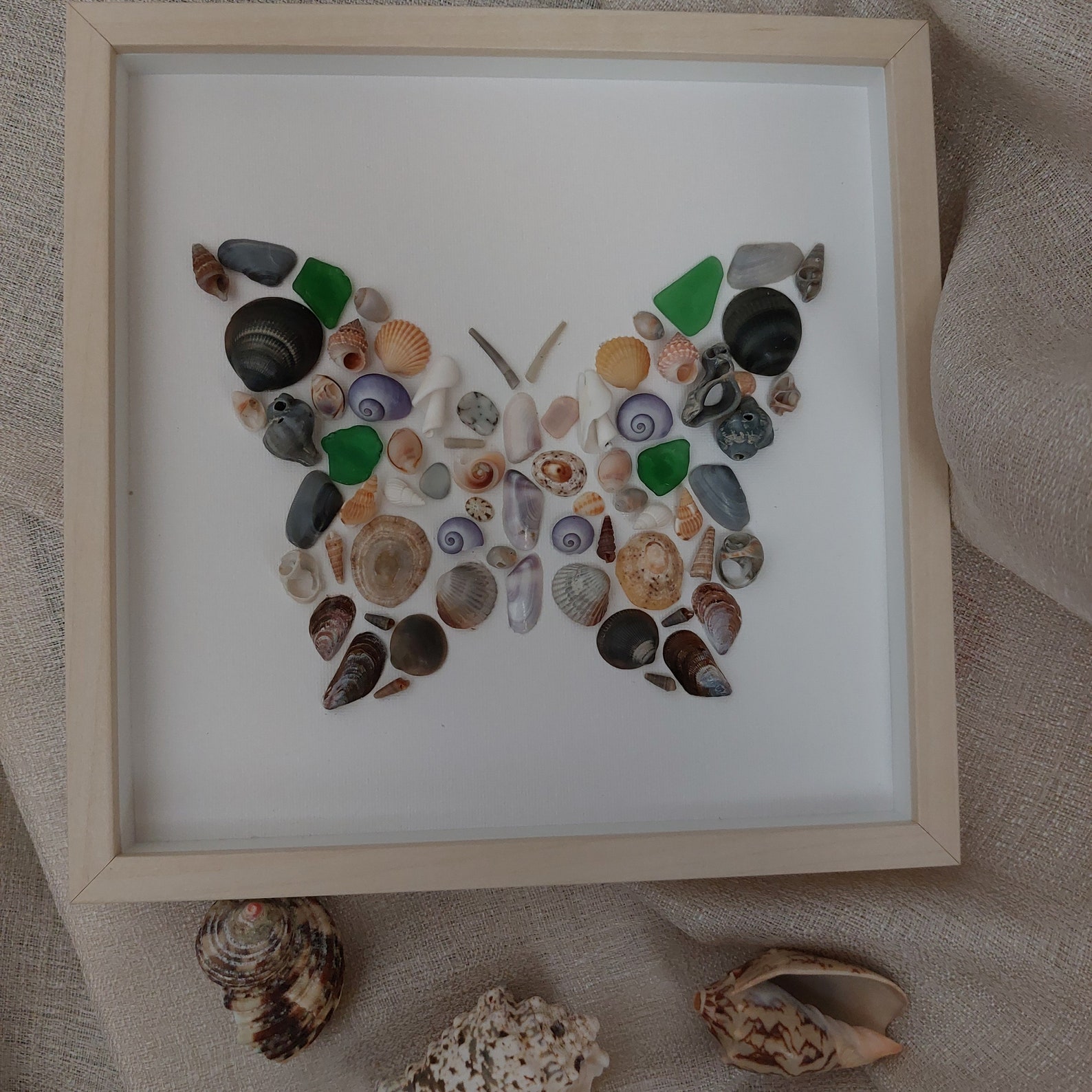 Butterfly Seashell Art Rainbow Butterfly Wall Art Sea Glass - Etsy