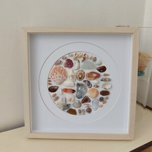 Mosaic Shell Decor Collage Seashell Decor Pebble Art Sea Grass Shadow ...