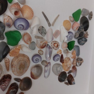 Butterfly Seashell Art Rainbow Butterfly Wall Art Sea Glass Butterfly