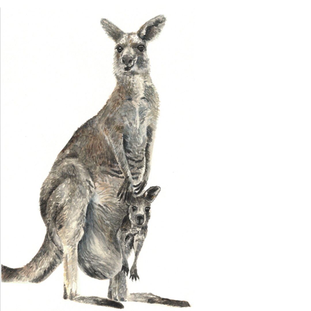 Fabric Kangaroo Wall Decal, Kangaroo Wall Sticker, Nursery Room Decor, Watercolour Wall Decor