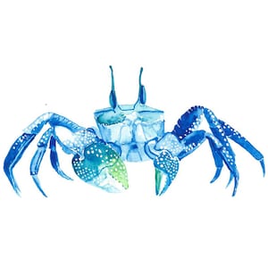 Fabric Crab Wall Decal, Crab Wall Sticker, Nursery Room Decor, Watercolour Wall Decor,  Nursery Wall Sticker