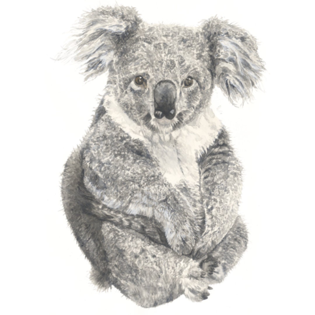 Buy Fabric Koala Wall Decal, Koala Wall Sticker, Nursery Room Decor